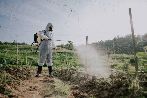 Best Commercial Pest Control Services  in Farmington, NM