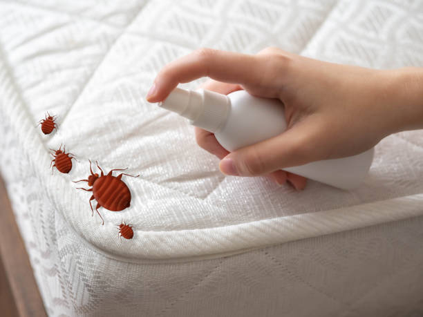Farmington, NM Pest Control Company